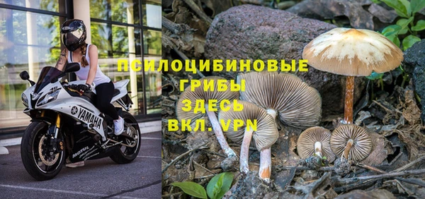 ешки Алексеевка