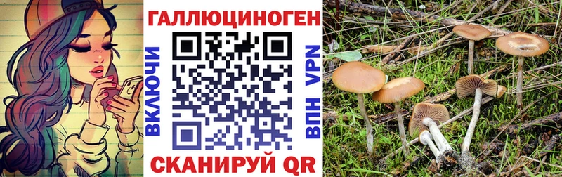 Псилоцибиновые грибы Psilocybe  Дегтярск 